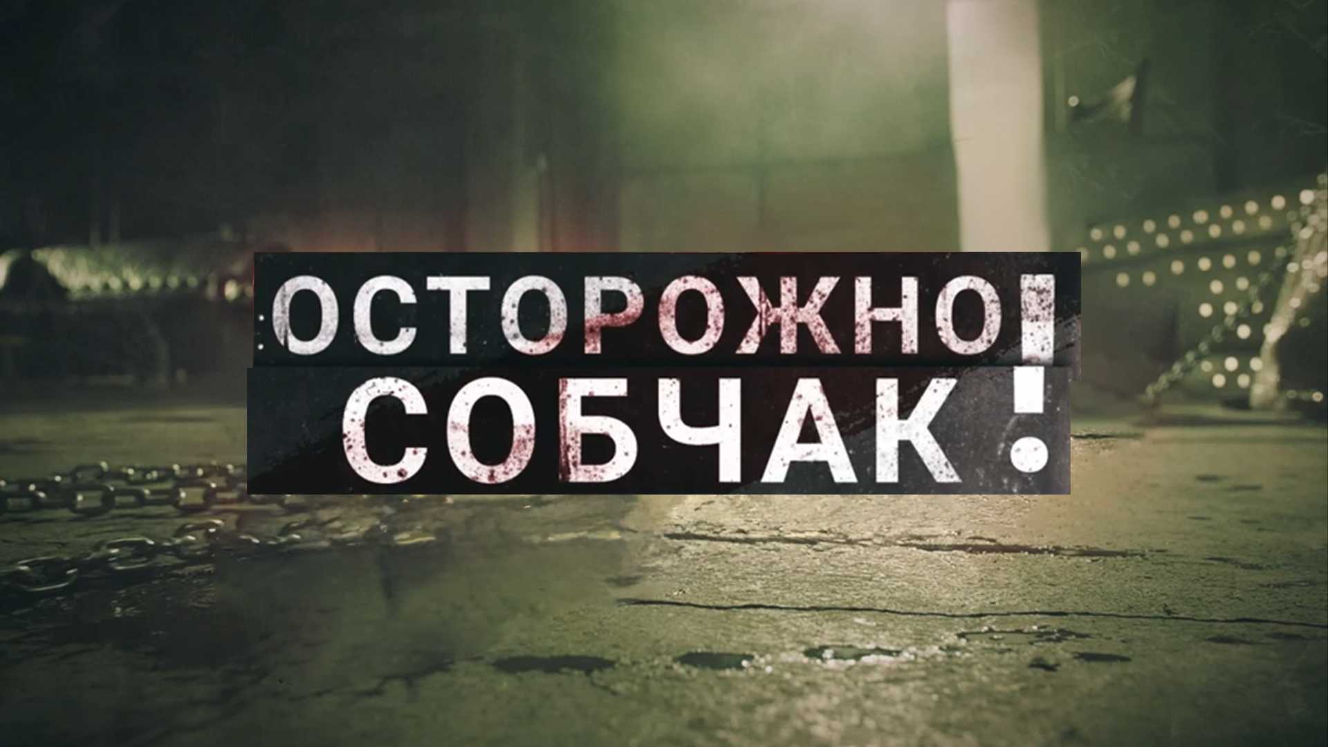 Осторожно, Собчак!