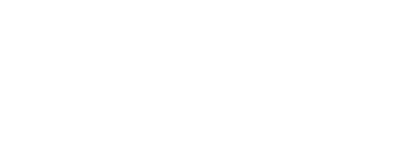 Первая леди