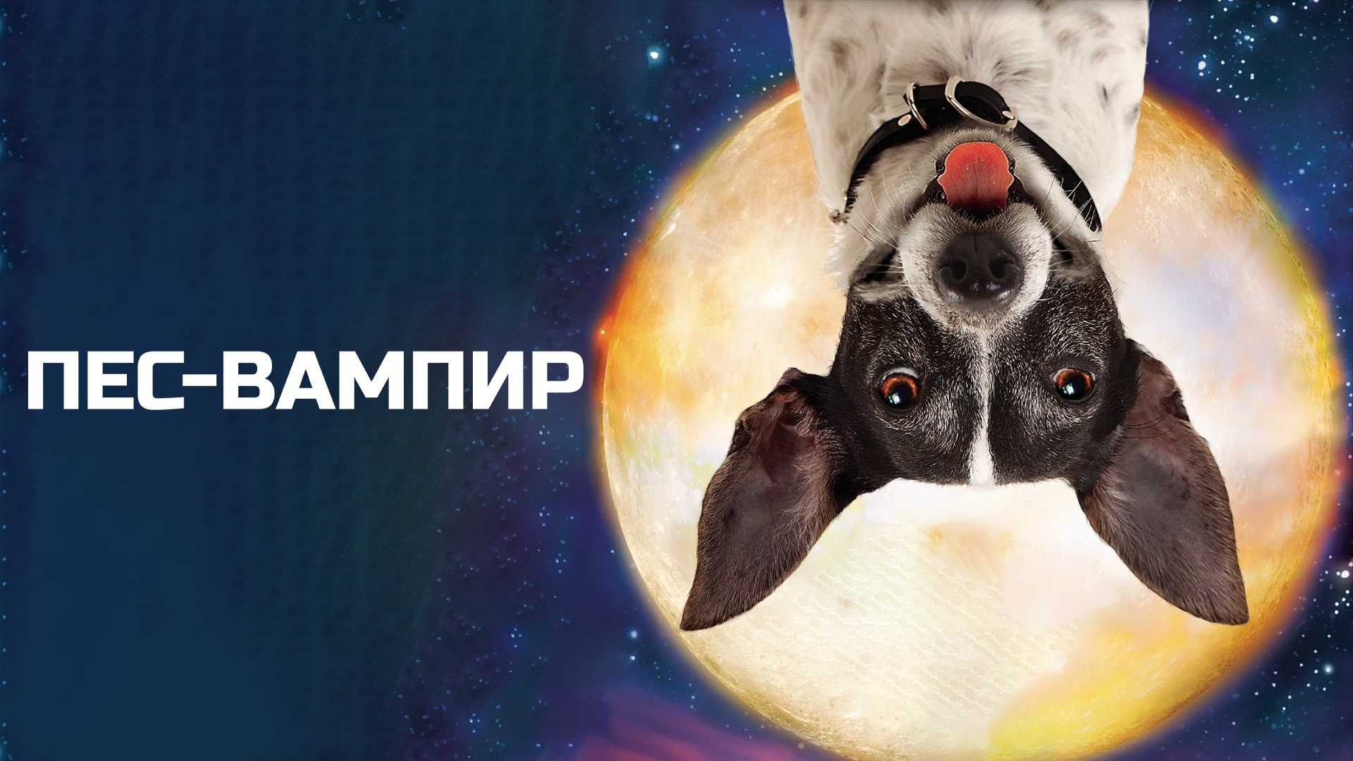 Пес-вампир