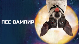 Пес-вампир