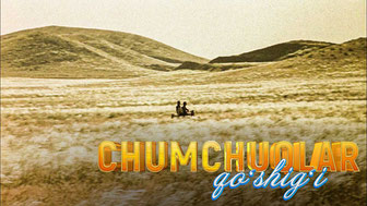 Chumchuqlar qoshigi