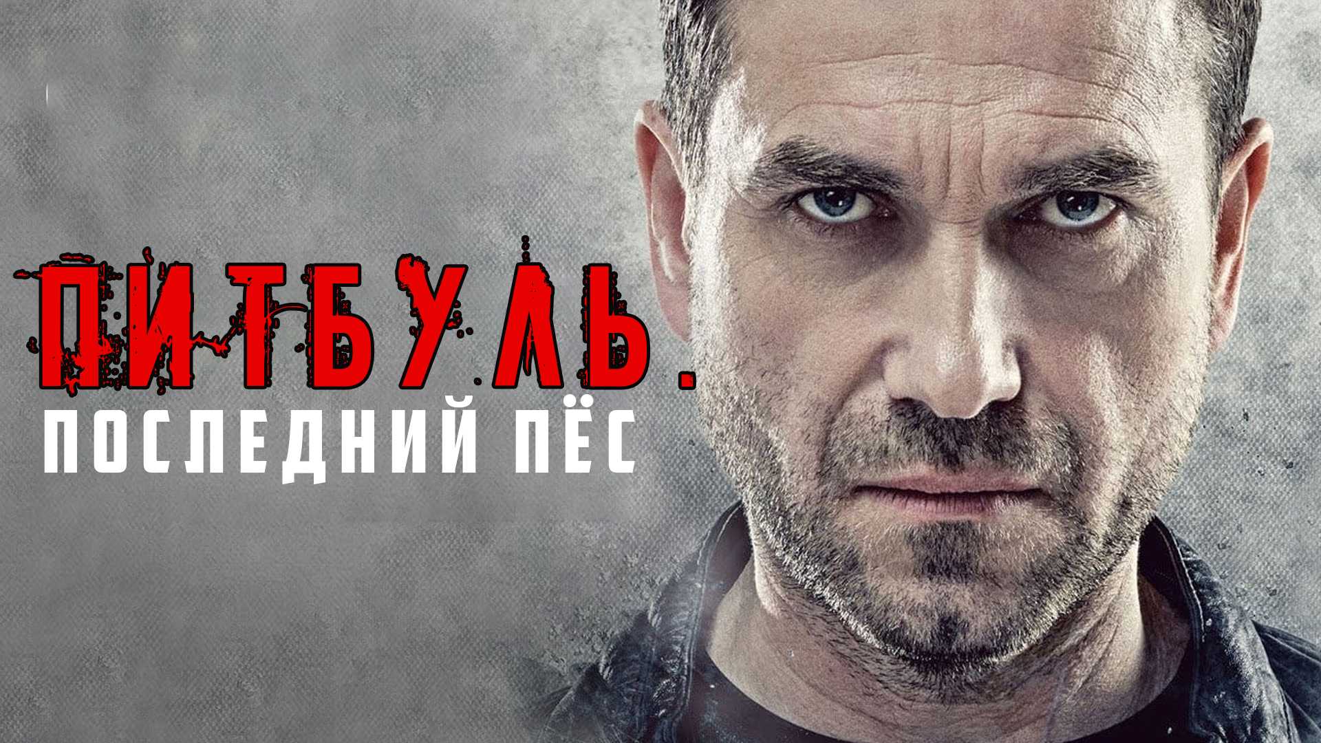 Питбуль. Последний пёс