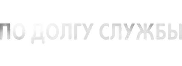 По долгу службы