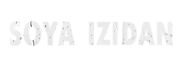 По следу тени