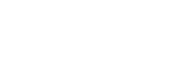 Полет Конкордов. Концерт в Лондоне