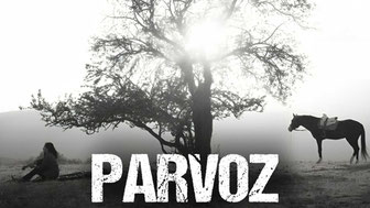 Parvoz