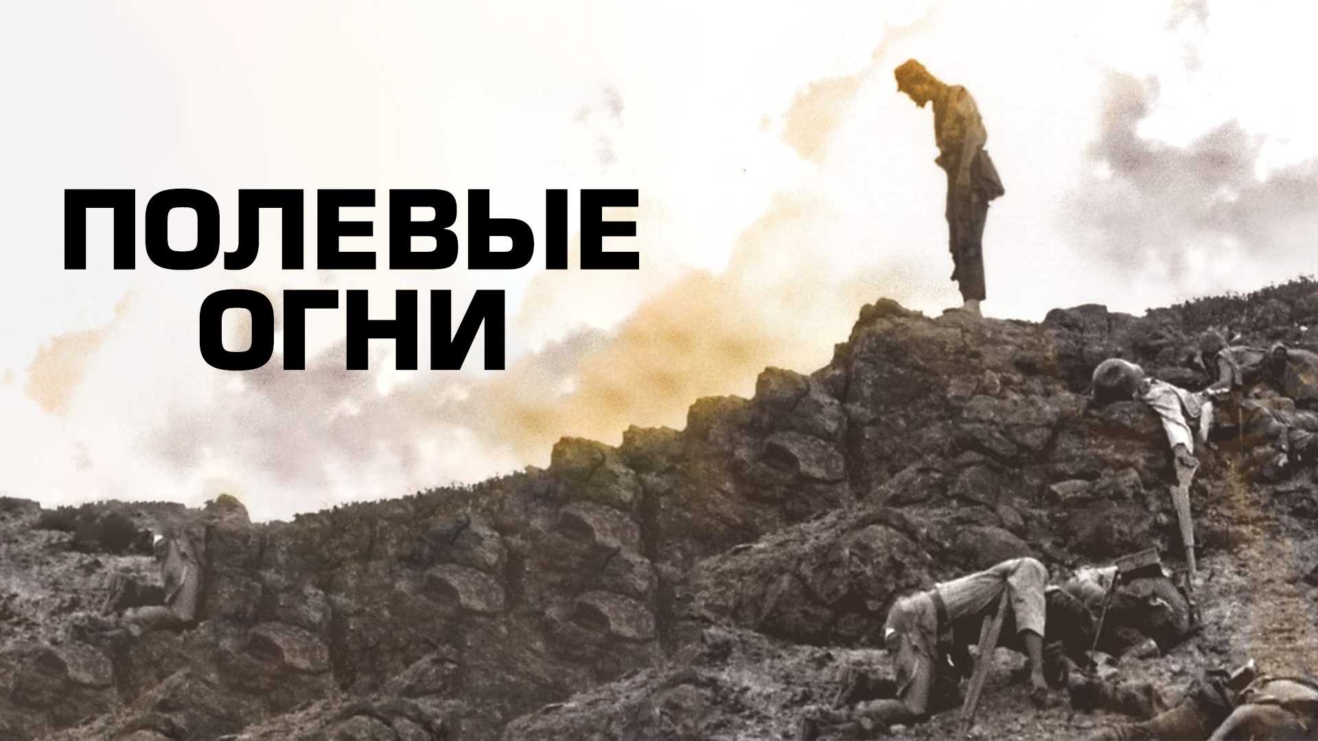 Полевые огни