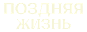Поздняя жизнь