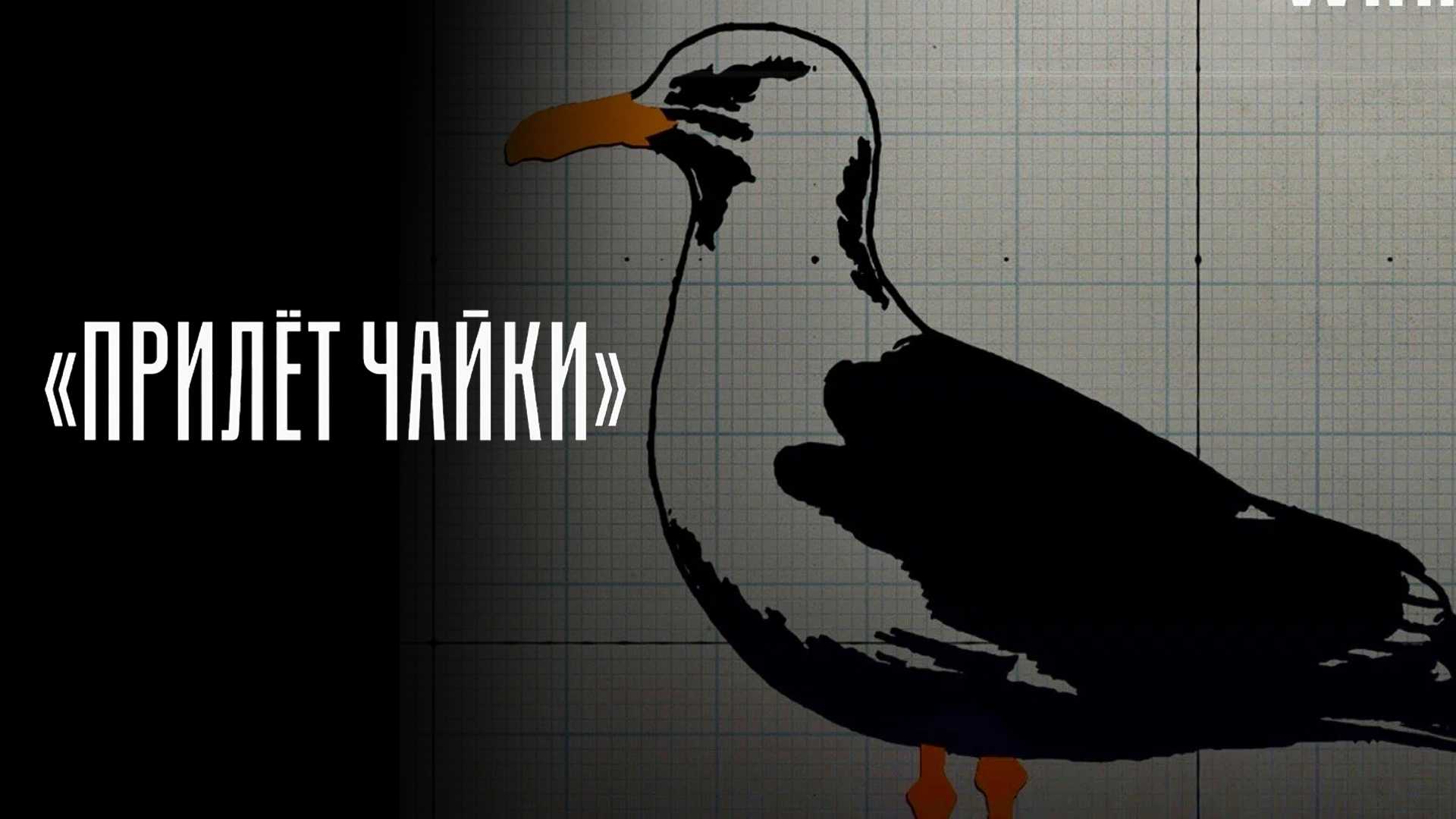 Прилёт чайки