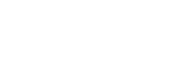 Профессионал