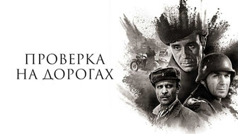 Проверка на дорогах