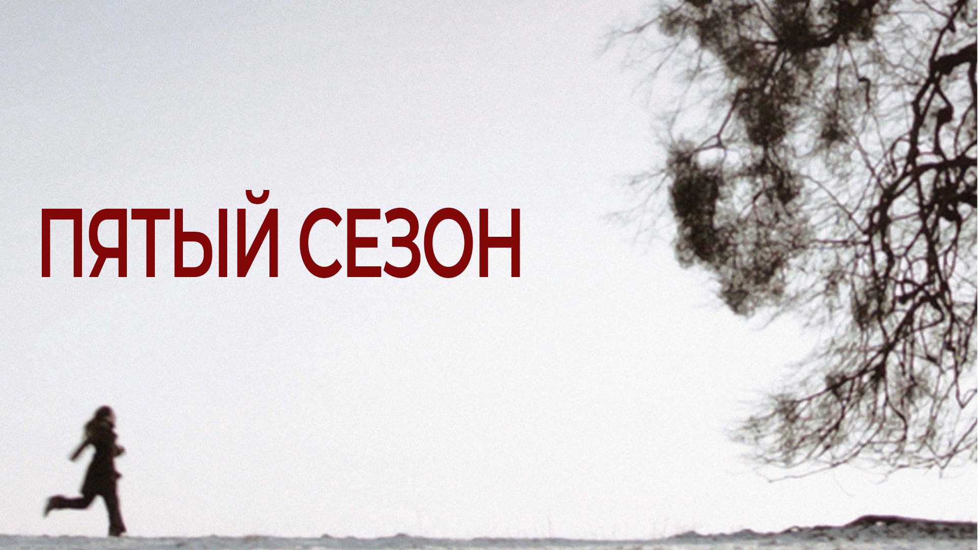 Пятый сезон