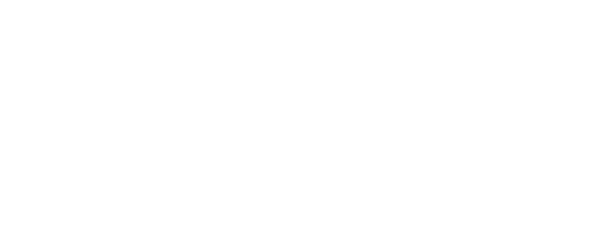 Разговор о Сьюзан Зонтаг