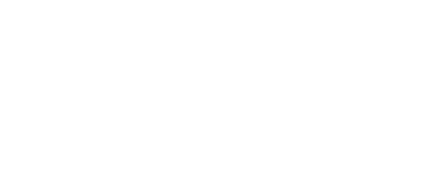 Реинкарнация. Новая глава