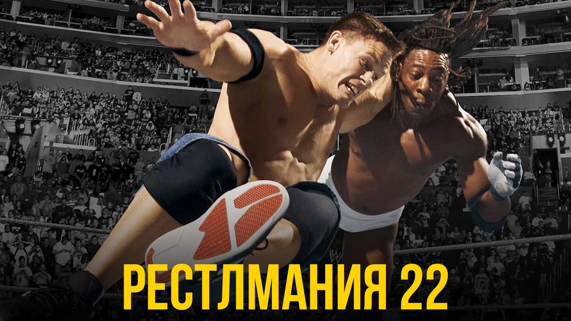 Рестлмания 22