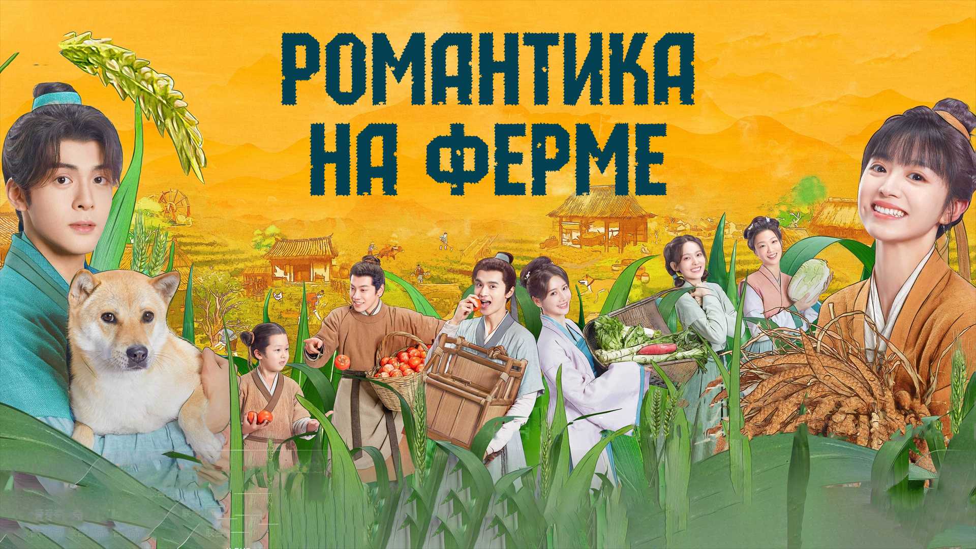 Романтика на ферме