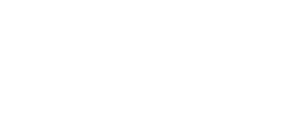 Романтики «303»