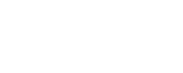 Самый обычный роман