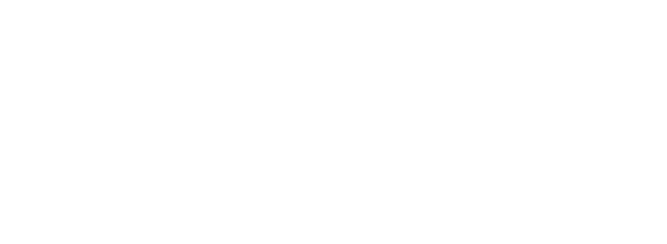 Щит и меч