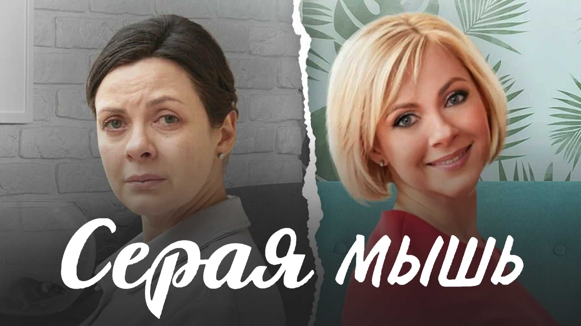 Серая мышь