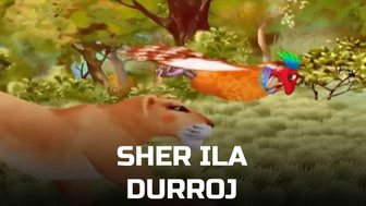 Sher ila Durroj