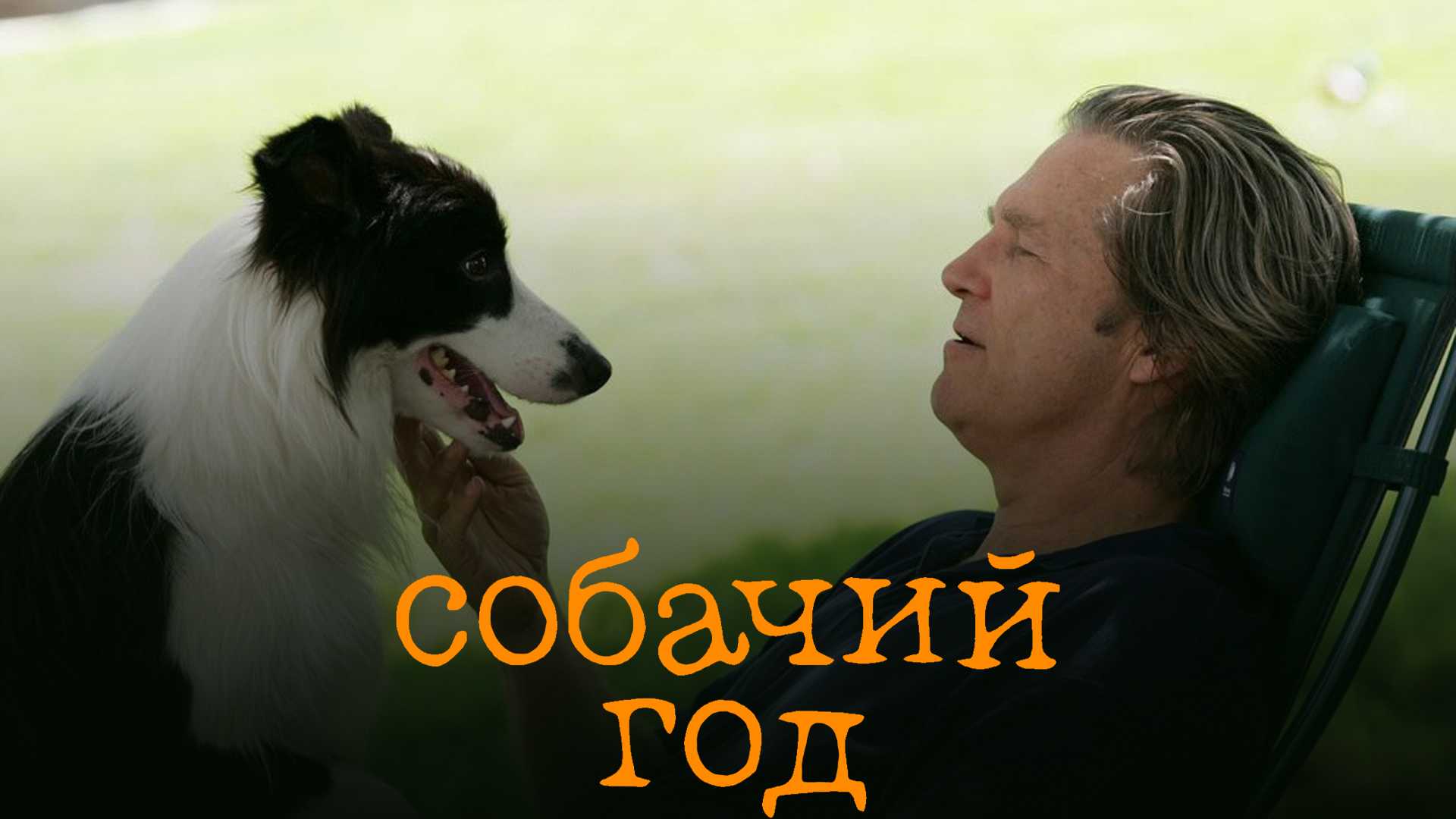 Собачий год