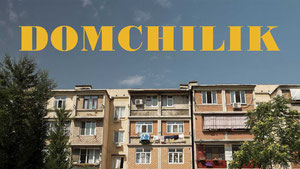Domchilik