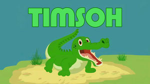 Timsoh