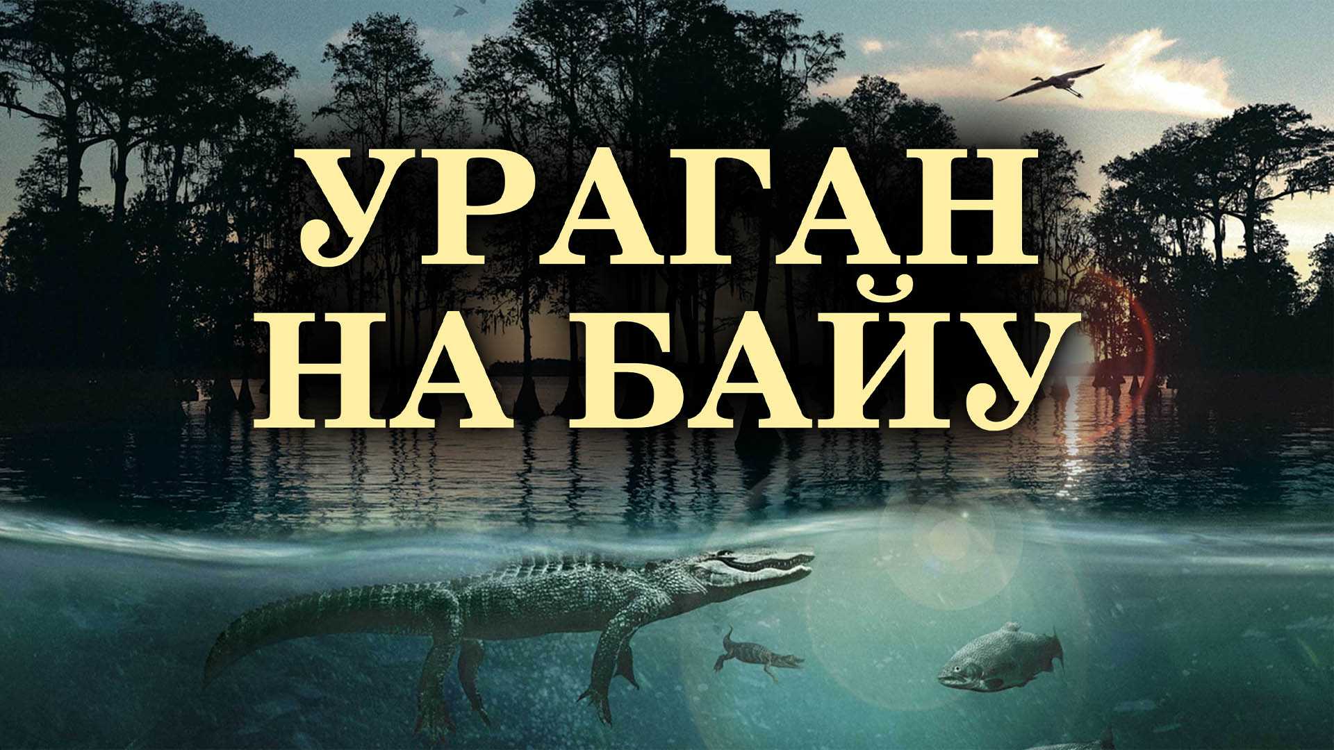 Ураган на Байу