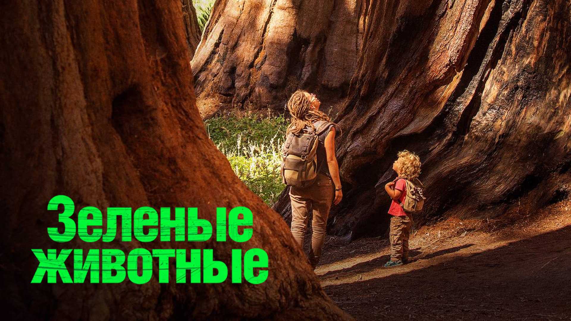 Зелёные животные