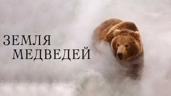 Земля медведей