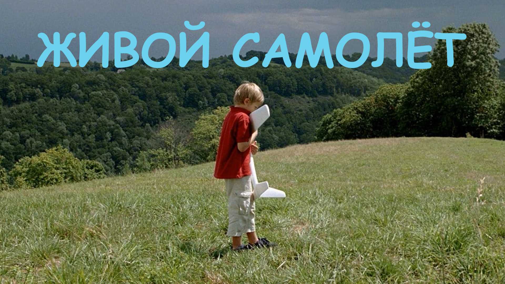 Живой самолёт