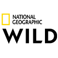 NATIONAL GEO WILD